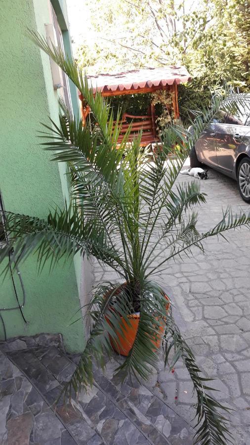 Hotel Casa Silvia Eforie Nord Zewnętrze zdjęcie