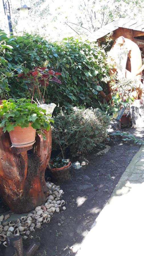 Hotel Casa Silvia Eforie Nord Zewnętrze zdjęcie