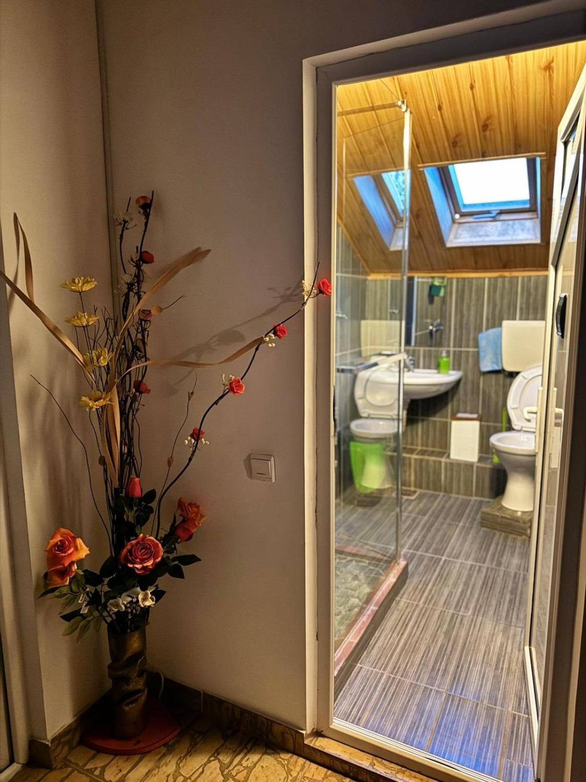 Hotel Casa Silvia Eforie Nord Zewnętrze zdjęcie